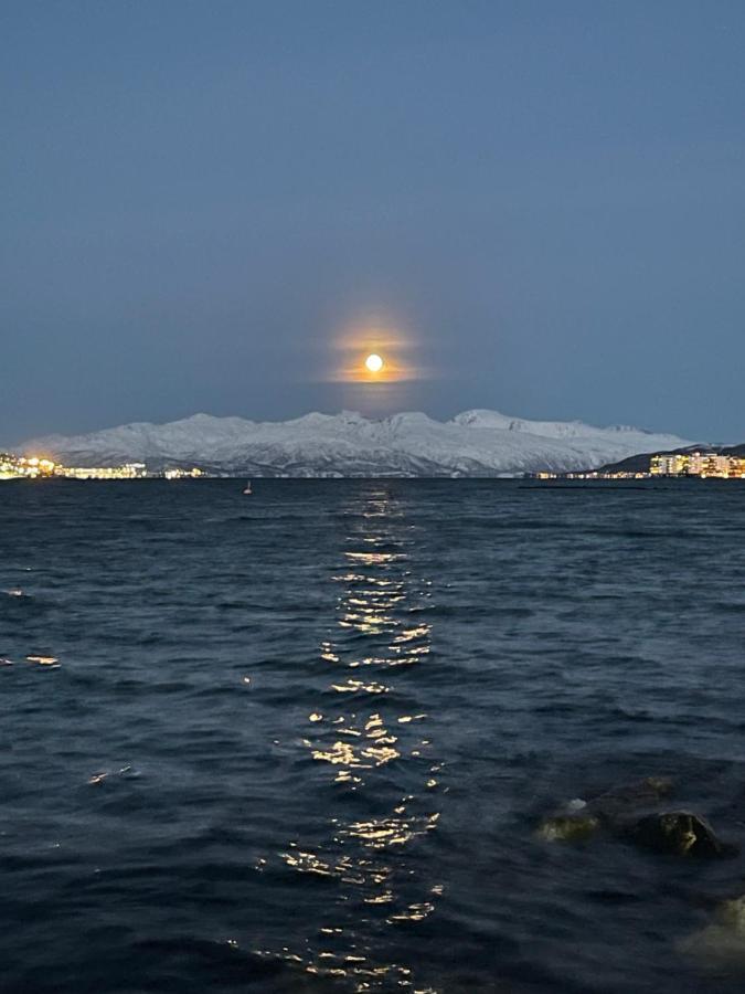 Appartment Close To The City, Ocean And Mountains -Tromso Bagian luar foto